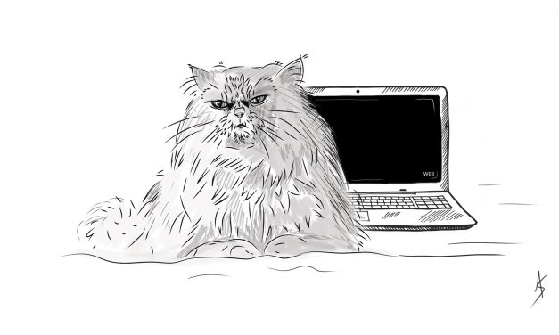 Neutra, CPL et Dark Web : l’histoire d’une vie