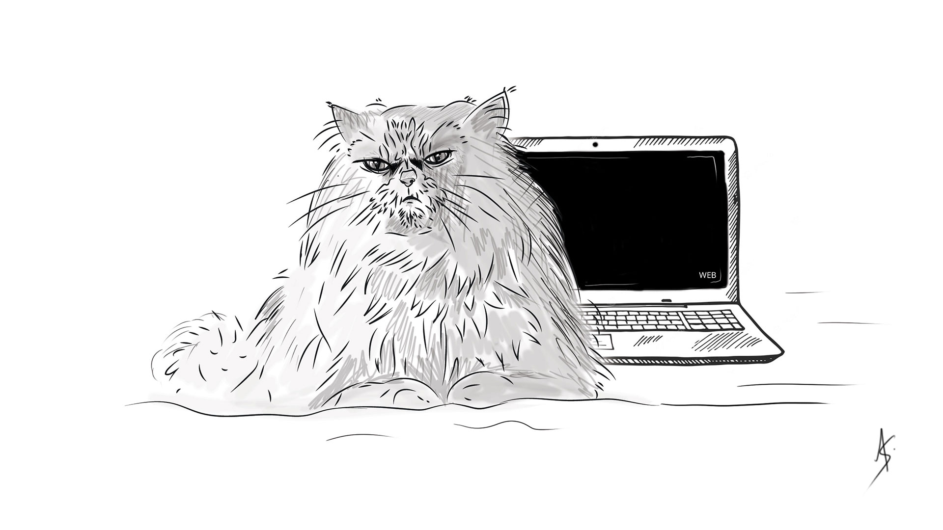 double-flux illustration d'un chat persan devant un ordinateur portable